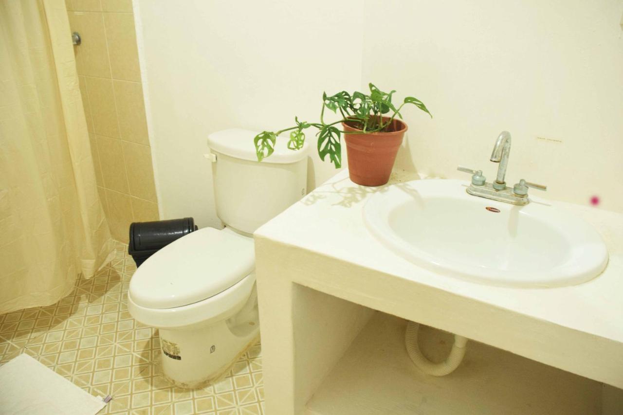 Hostal Casa Bohemia Mérida Esterno foto