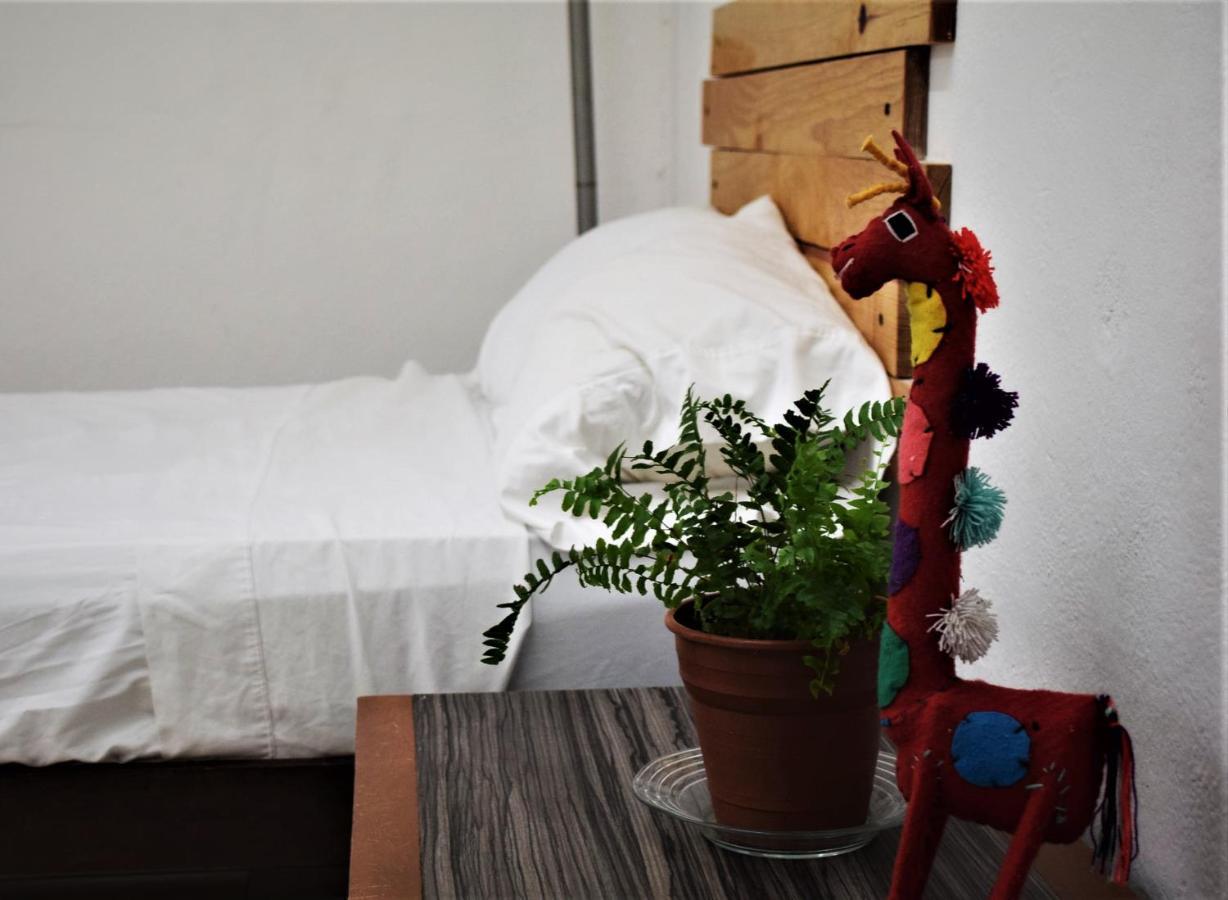 Hostal Casa Bohemia Mérida Esterno foto